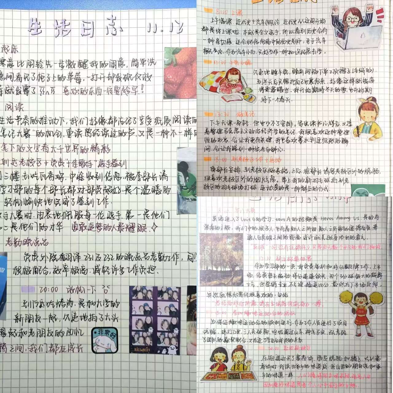 必赢亚州242.,net,242net官网登录入口